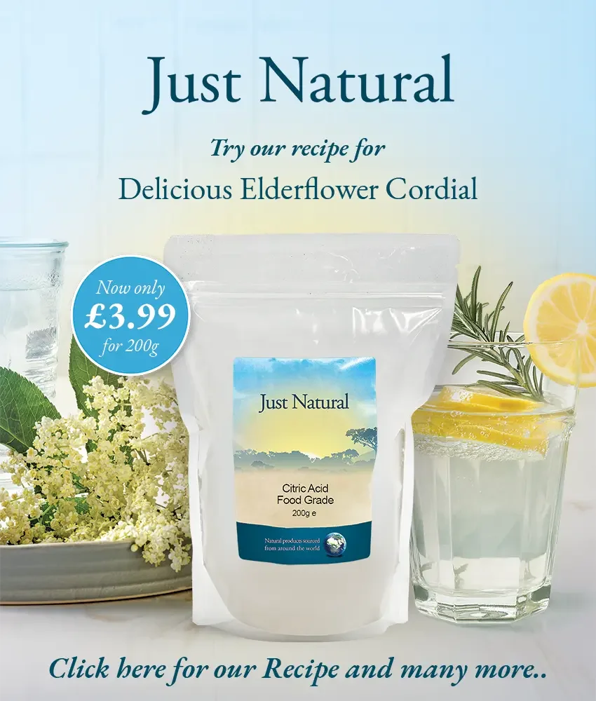 Just Natural Delicious Elderflower Cordial - Just Natural