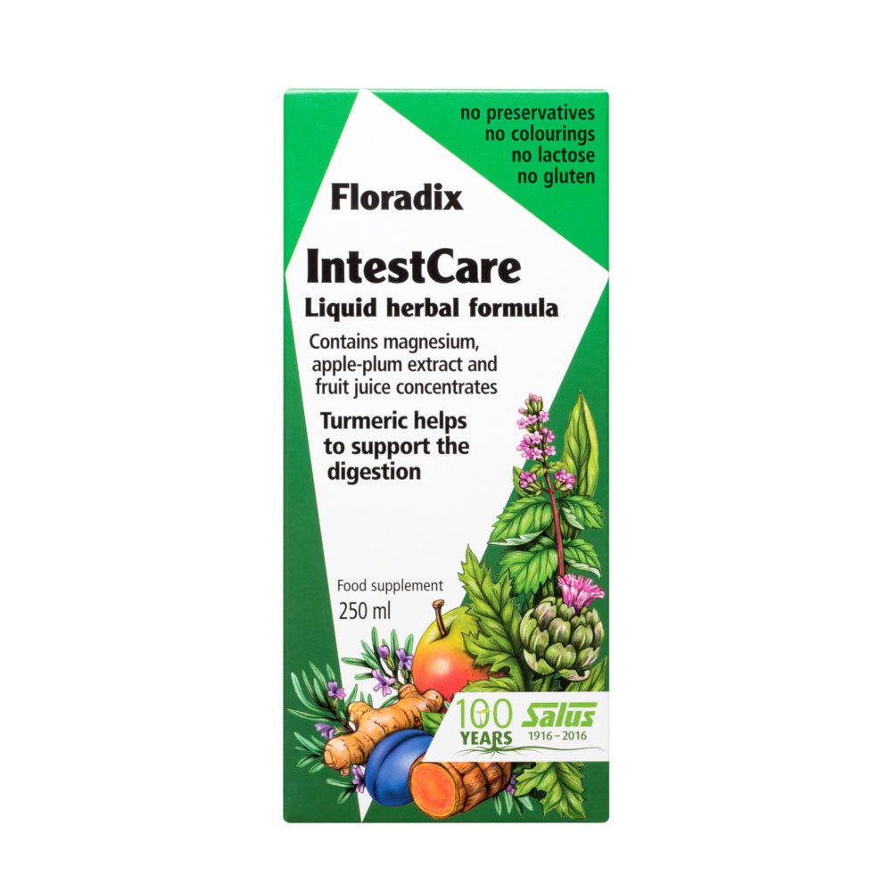 Floradix IntestCare 250ml - Just Natural