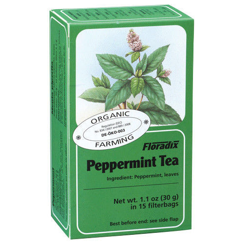 Floradix Peppermint Organic Herbal Tea 15 filterbags - Just Natural