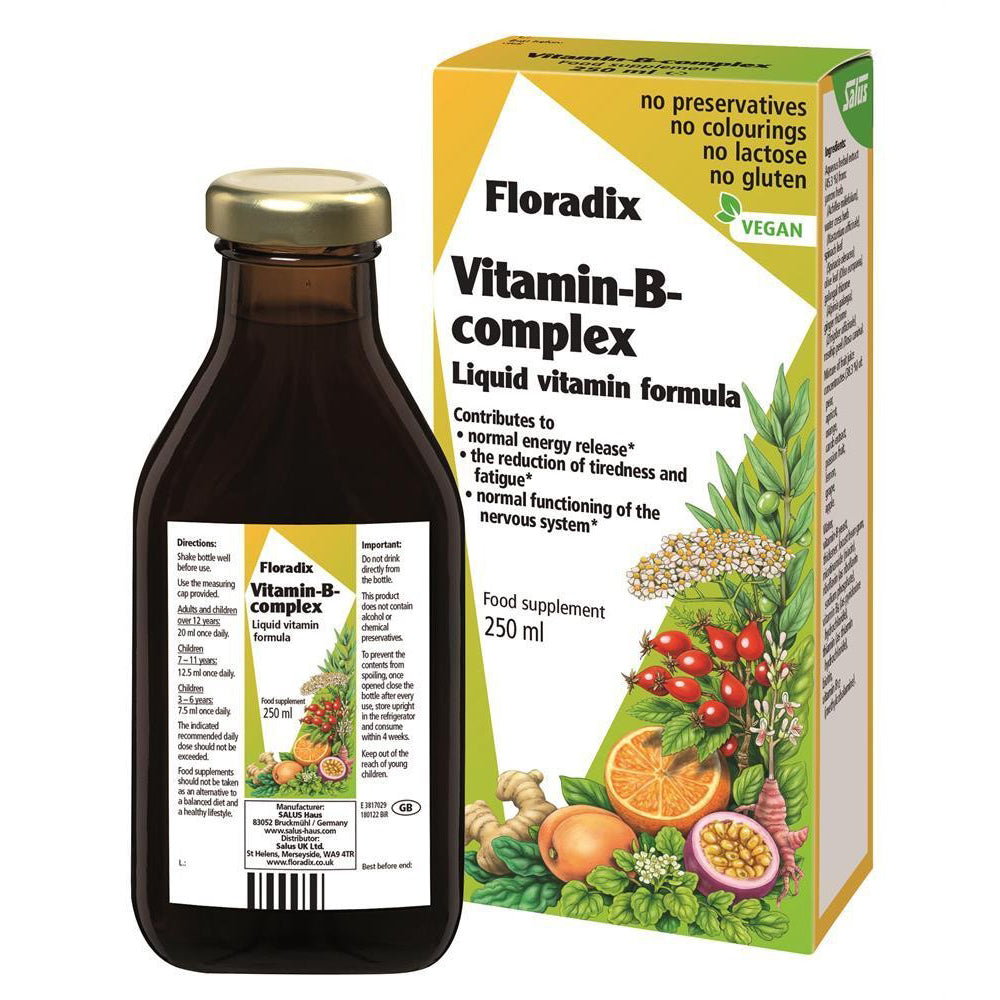 Floradix Floradix Vitamin B Complex 250ml - Just Natural